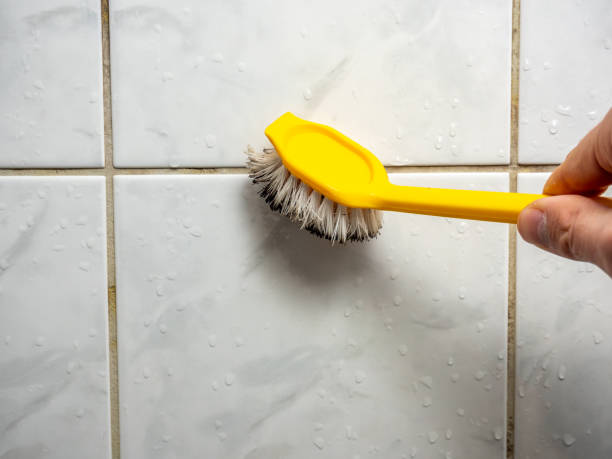 Best Mold Removal Near Me  in Loyalhanna, PA