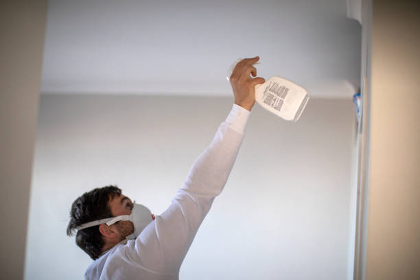 Best Commercial Mold Removal  in Loyalhanna, PA