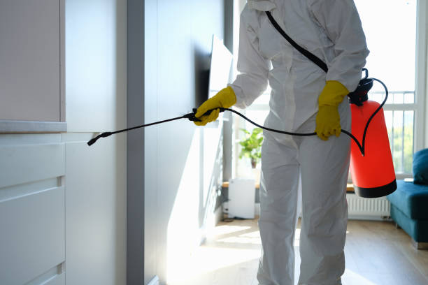 Best Emergency Mold Removal  in Loyalhanna, PA