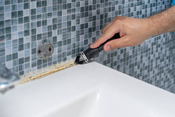 Best Best Mold Removal Companies  in Loyalhanna, PA