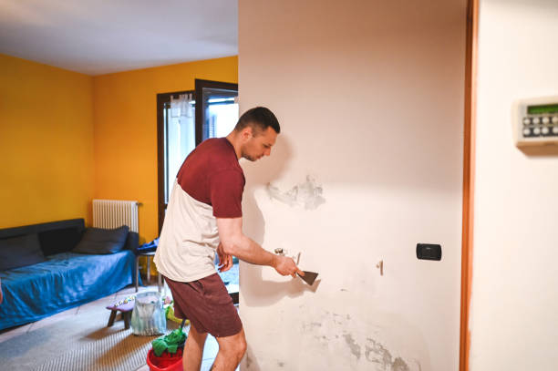 Best Attic Mold Removal  in Loyalhanna, PA